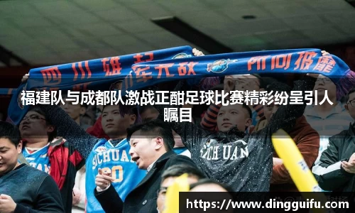 福建队与成都队激战正酣足球比赛精彩纷呈引人瞩目